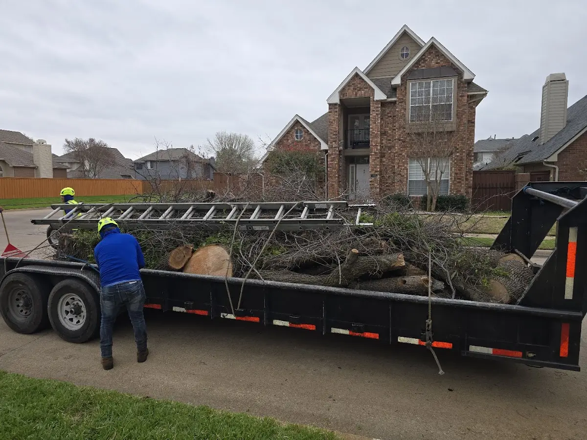 Expert Tree Removal with proper safety equipment in Adell